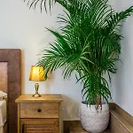 Heritage Dea Hvar 4*